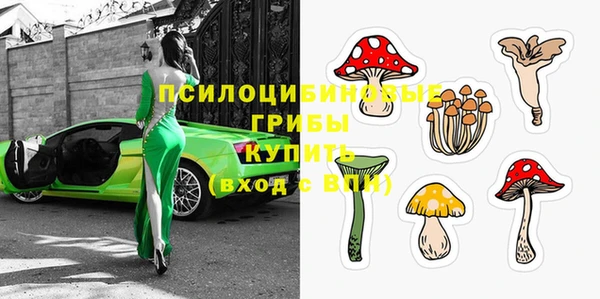 прущие грибы Нефтегорск