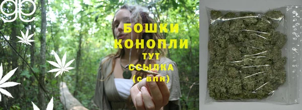 прущие грибы Нефтегорск