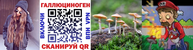Купить где  Куйбышев  Галлюциногенные грибы GOLDEN TEACHER 